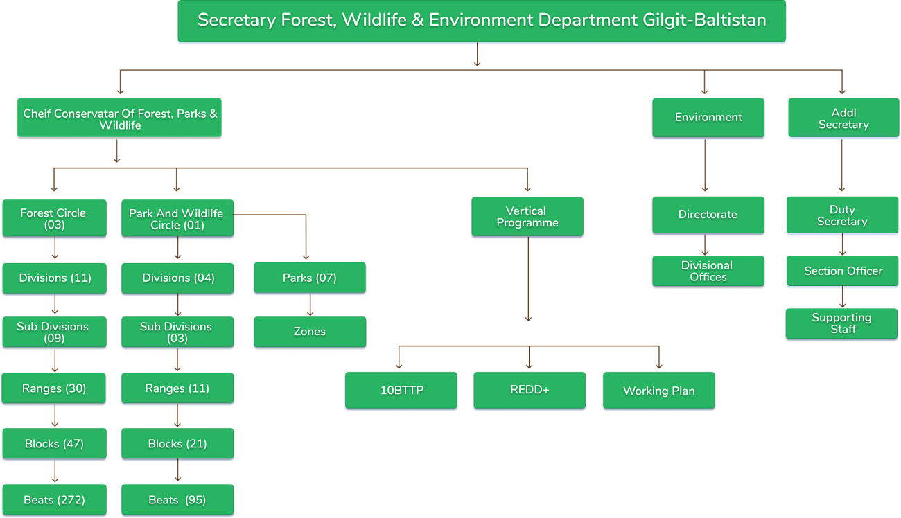 Organogram - Forest, Wildlife & Environment Department Government of ...